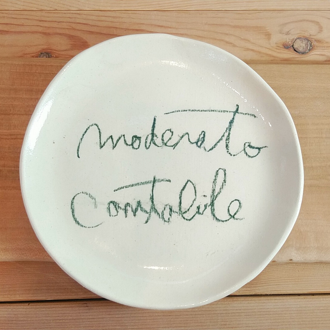 モデラートカンタビレ皿